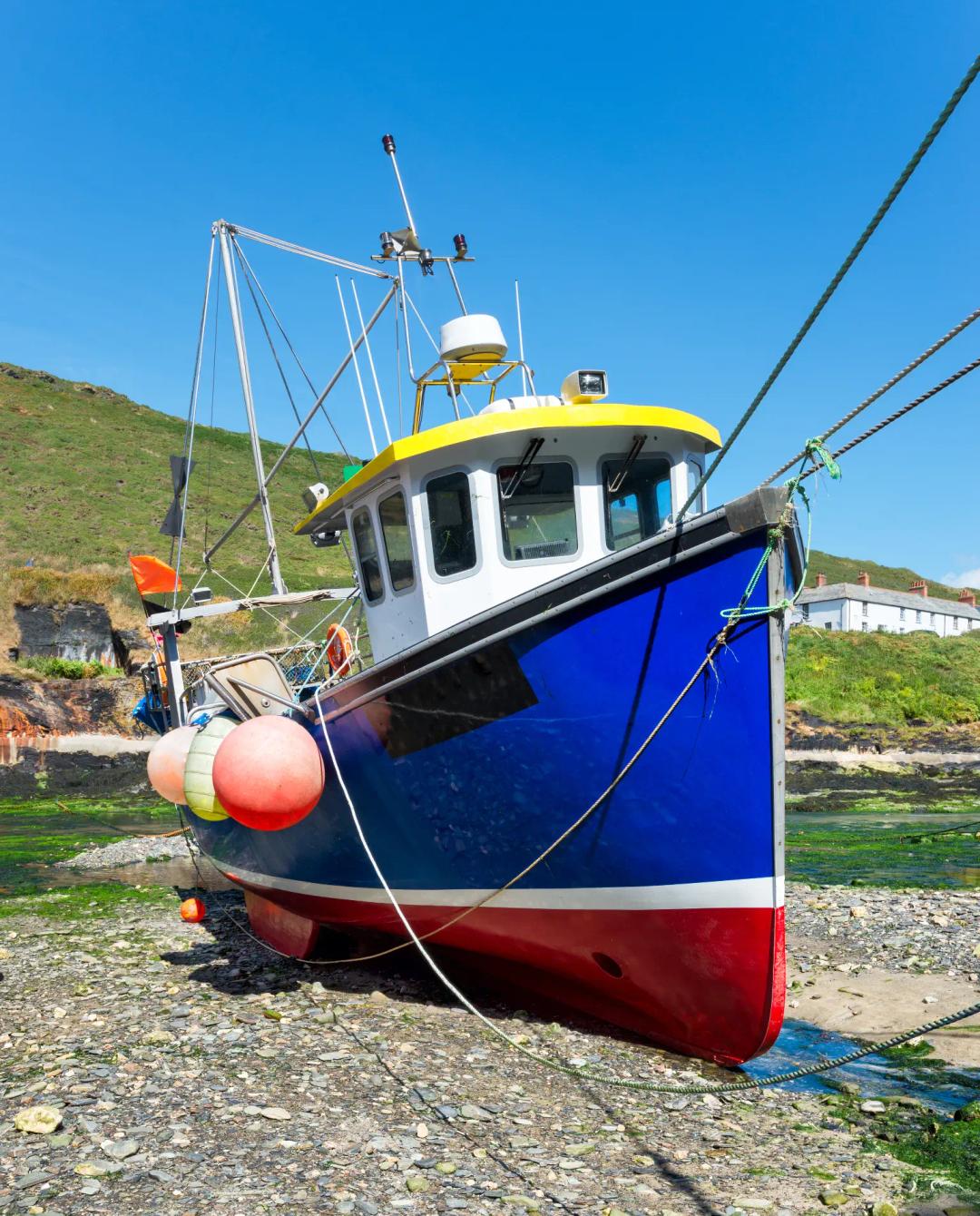 Benefits of Potting and Netting in Commercial Vessel Insurance