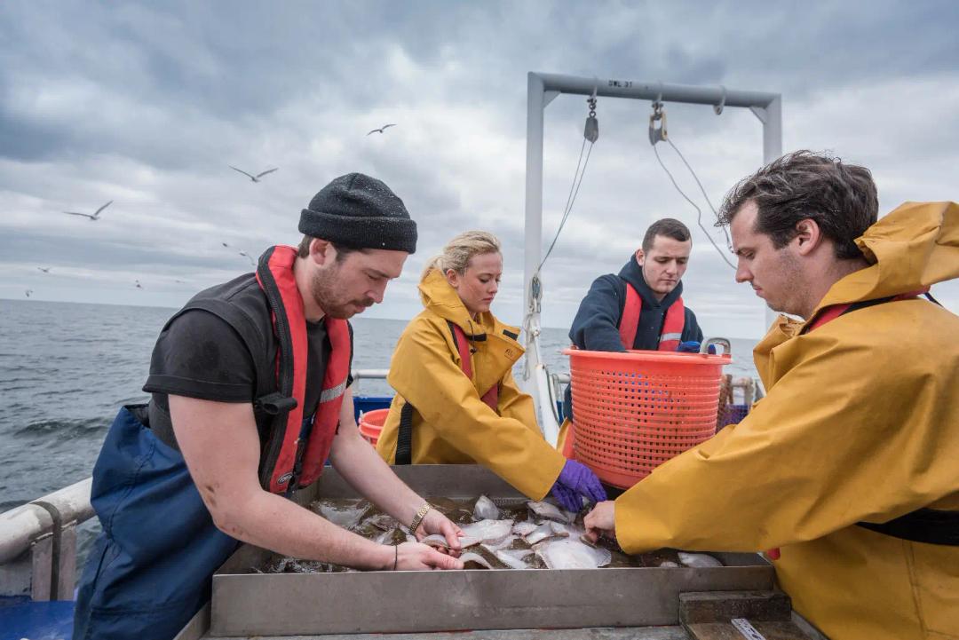 Why is Crew Liability for Yachts’ Owners Essential?