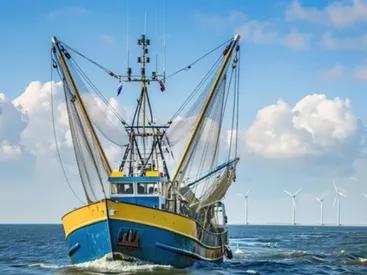 Fishing Vessel Licences & Permits in Ireland